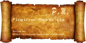 Pingiczer Maurícia névjegykártya